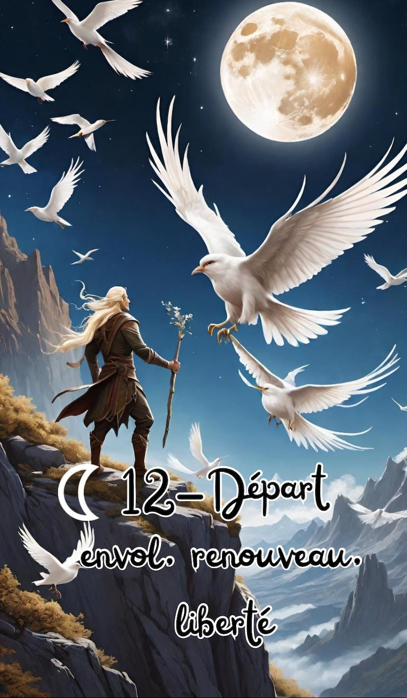 Precommande L’oracle belline elfique