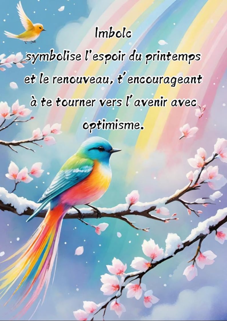 L’oracle les messages d’imbolc (édition limitée)